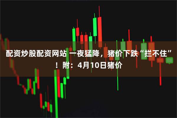 配资炒股配资网站 一夜猛降，猪价下跌“拦不住”！附：4月10日猪价