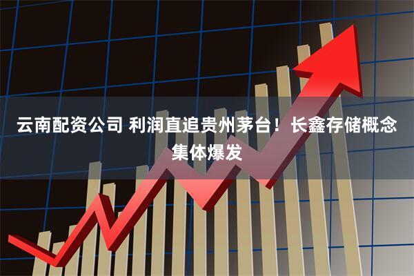 云南配资公司 利润直追贵州茅台！长鑫存储概念集体爆发