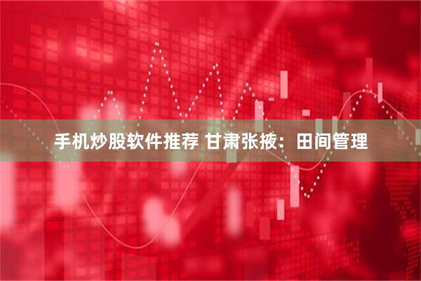 手机炒股软件推荐 甘肃张掖：田间管理