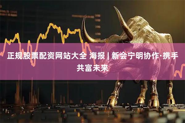 正规股票配资网站大全 海报 | 新会宁明协作·携手共富未来