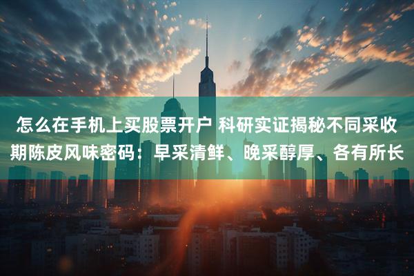 怎么在手机上买股票开户 科研实证揭秘不同采收期陈皮风味密码：早采清鲜、晚采醇厚、各有所长